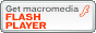 download flash